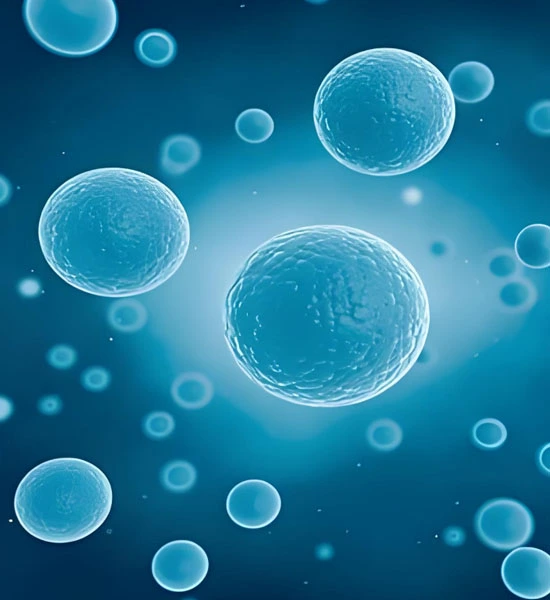 GS-441524 Injection use | Shaanxi BLOOM Tech Co., Ltd GS-441524 Injection use | Shaanxi BLOOM Tech Co., Ltd