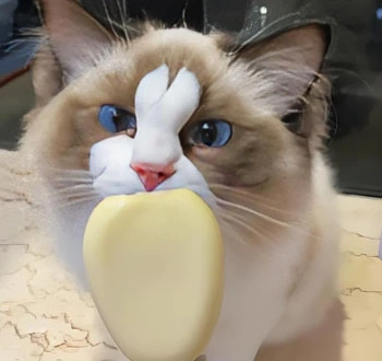 GS-441524 Fip use | Shaanxi BLOOM Tech Co., Ltd