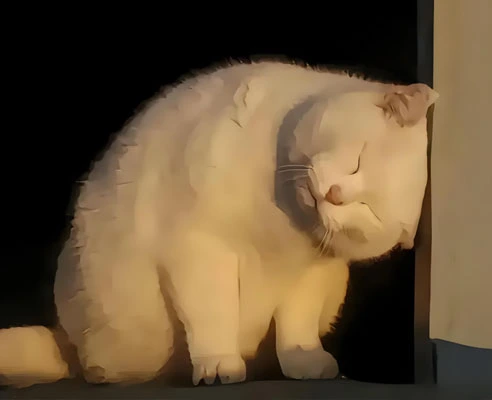 GS-441524 Fip use | Shaanxi BLOOM Tech Co., Ltd