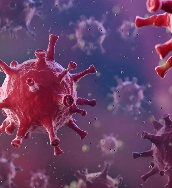 GS-441524 Fip use | Shaanxi BLOOM Tech Co., Ltd