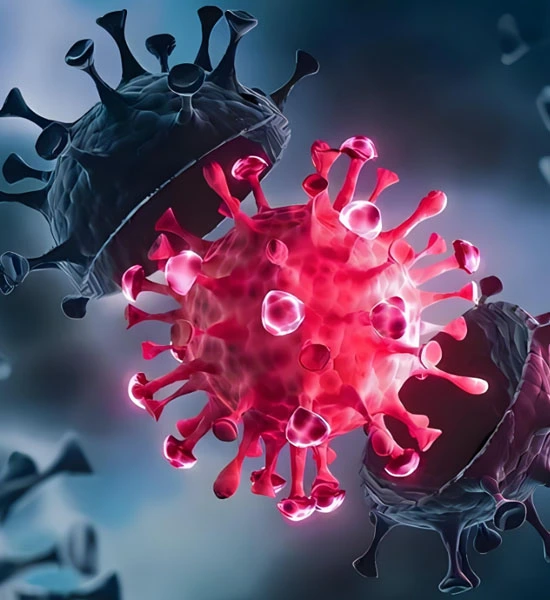 GS-441524 Fip use | Shaanxi BLOOM Tech Co., Ltd