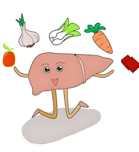 GS-441524 Injection | Shaanxi BLOOM Tech Co., Ltd