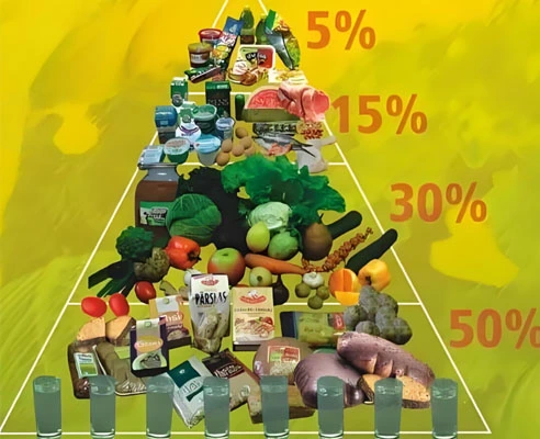 GS-441524 Fip use | Shaanxi BLOOM Tech Co., Ltd