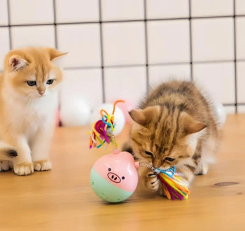 GS-441524 Fip use | Shaanxi BLOOM Tech Co., Ltd