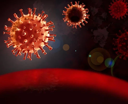 GS-441524 Tablets use | Shaanxi BLOOM Tech Co., Ltd GS-441524 Tablets use | Shaanxi BLOOM Tech Co., Ltd