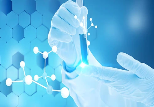 GS-441524 Tablets use | Shaanxi BLOOM Tech Co., Ltd GS-441524 Tablets use | Shaanxi BLOOM Tech Co., Ltd