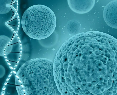 GS-441524 Tablets use | Shaanxi BLOOM Tech Co., Ltd GS-441524 Tablets use | Shaanxi BLOOM Tech Co., Ltd