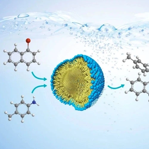 GS-441524 Tablets use | Shaanxi BLOOM Tech Co., Ltd