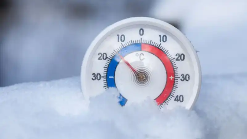 GS-441524 FIP | Shaanxi BLOOM Tech Co., Ltd