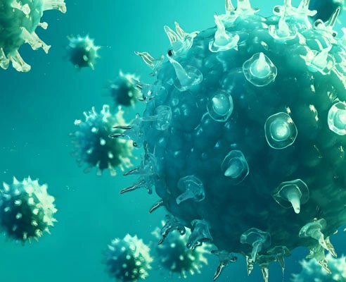 GS-441524 Tablets use | Shaanxi BLOOM Tech Co., Ltd