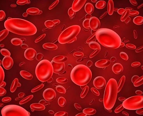 GS-441524 Fip use | Shaanxi BLOOM Tech Co., Ltd