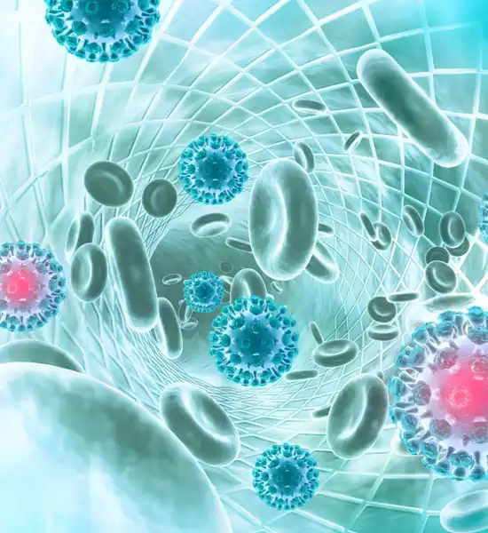 GS-441524 Tablets use | Shaanxi BLOOM Tech Co., Ltd GS-441524 Tablets use | Shaanxi BLOOM Tech Co., Ltd