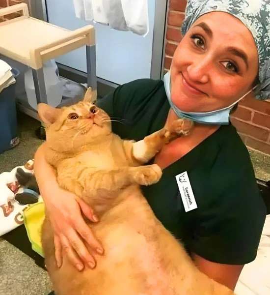 GS-441524 Tablets use | Shaanxi BLOOM Tech Co., Ltd