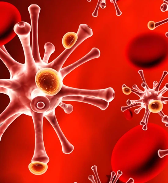 GS-441524 Fip use | Shaanxi BLOOM Tech Co., Ltd