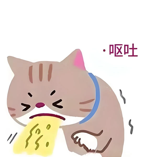 GS-441524 Fip use| Shaanxi BLOOM Tech Co., Ltd