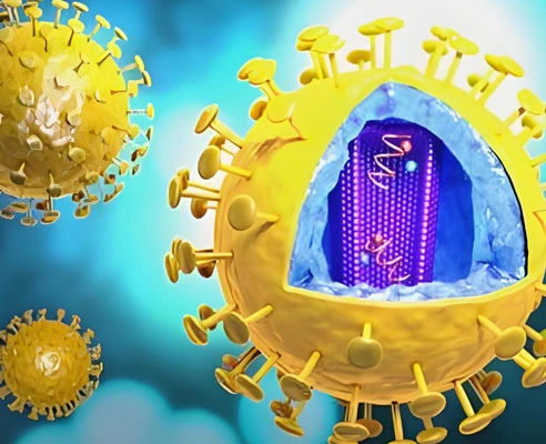 GS-441524 Fip use| Shaanxi BLOOM Tech Co., Ltd GS-441524 Fip use| Shaanxi BLOOM Tech Co., Ltd