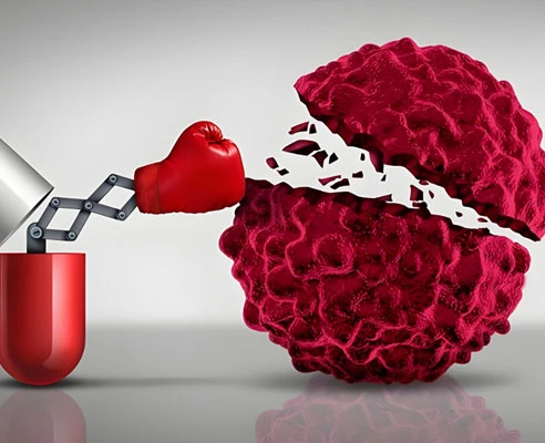 GS-441524 Fip use | Shaanxi BLOOM Tech Co., Ltd