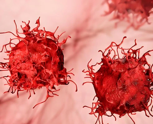 GS-441524 Fip use | Shaanxi BLOOM Tech Co., Ltd