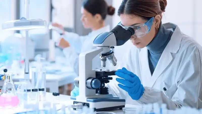 GS-441524 Fip | Shaanxi BLOOM Tech Co., Ltd