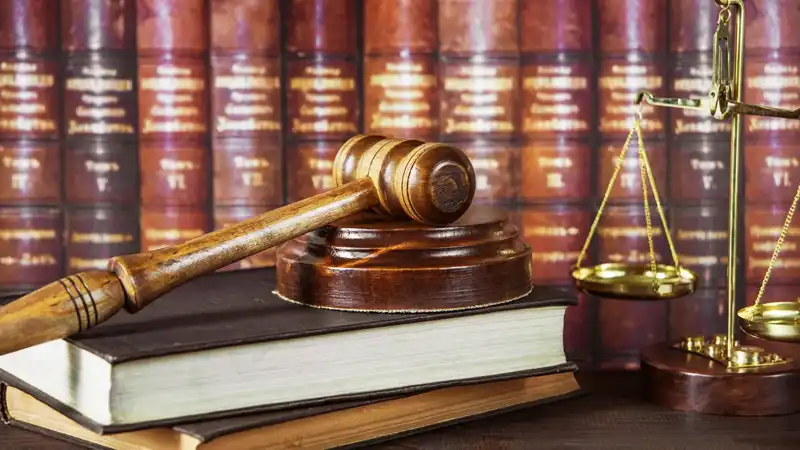 GS-441524 Fip | Shaanxi BLOOM Tech Co., Ltd GS-441524 Fip | Shaanxi BLOOM Tech Co., Ltd