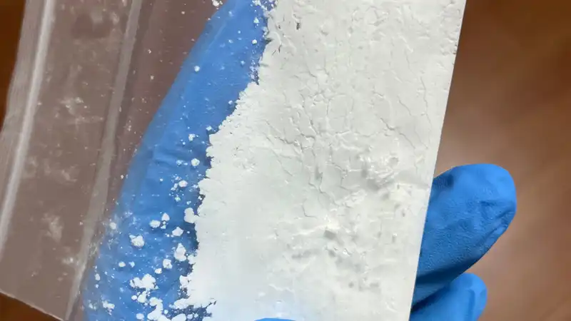 GS-441524 Powder | Shaanxi BLOOM Tech Co., Ltd