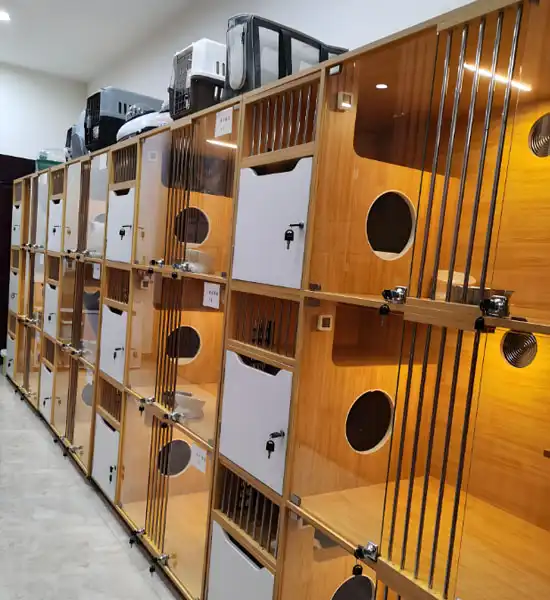 GS-441524 Fip use | Shaanxi BLOOM Tech Co., Ltd