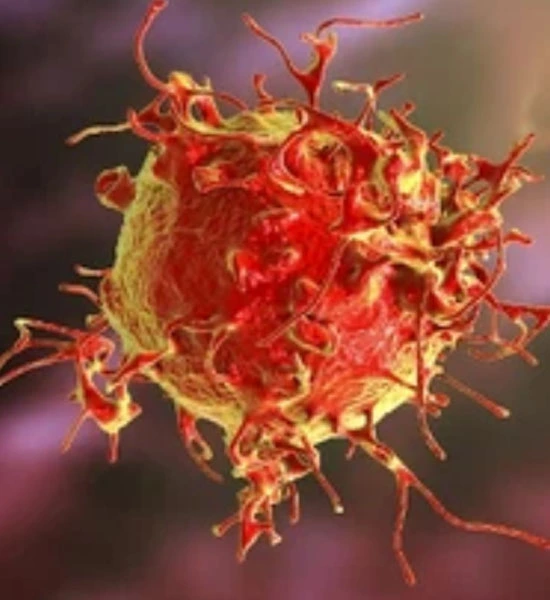 GS-441524 Fip use| Shaanxi BLOOM Tech Co., Ltd GS-441524 Fip use| Shaanxi BLOOM Tech Co., Ltd