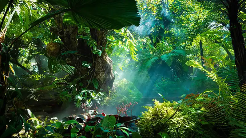 GS-441524 FIP | Shaanxi BLOOM Tech Co., Ltd