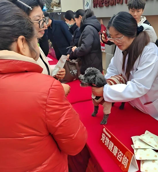 GS-441524 tablets | Shaanxi BLOOM Tech Co., Ltd GS-441524 tablets | Shaanxi BLOOM Tech Co., Ltd