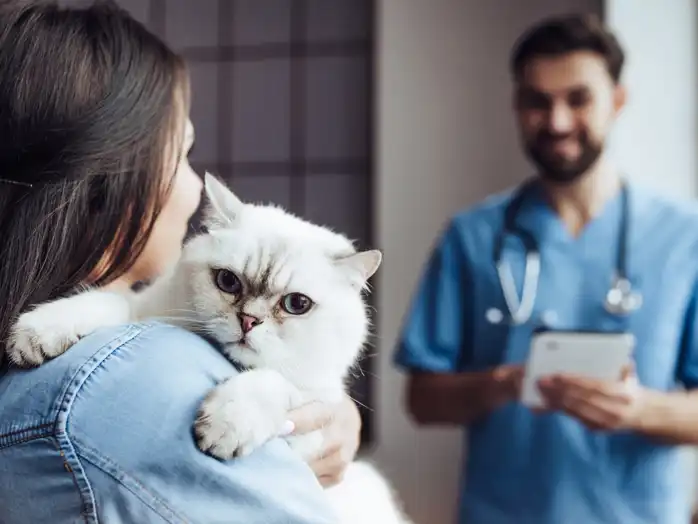 fipv vaccine price | Shaanxi BLOOM Tech Co., Ltd fipv vaccine price | Shaanxi BLOOM Tech Co., Ltd