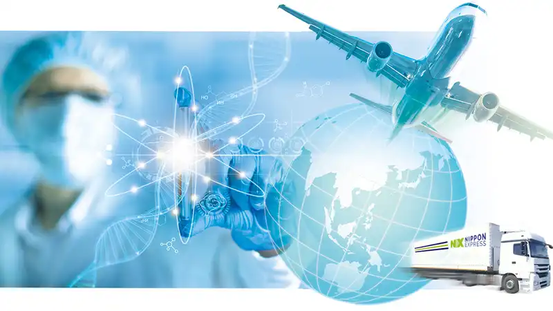 free cat fip treatment | Shaanxi BLOOM Tech Co., Ltd free cat fip treatment | Shaanxi BLOOM Tech Co., Ltd