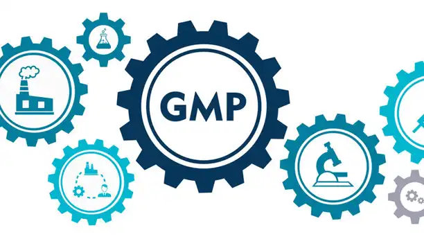 gs 441524 drug | Shaanxi BLOOM Tech Co., Ltd