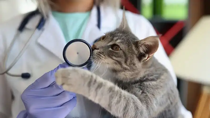 blog-800-450 blog-800-450