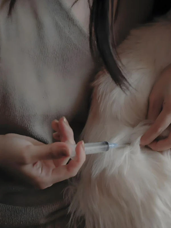 gs 441524 precio | Shaanxi BLOOM Tech Co., Ltd