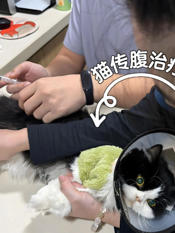 gs 44152 oral | Shaanxi BLOOM Tech Co., Ltd