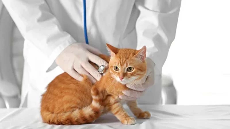 gs 441524 buy online  | Shaanxi BLOOM Tech Co., Ltd