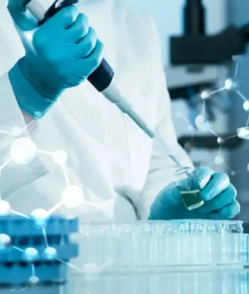 GS-441524 FIP Cost | Shaanxi BLOOM Tech Co., Ltd GS-441524 FIP Cost | Shaanxi BLOOM Tech Co., Ltd