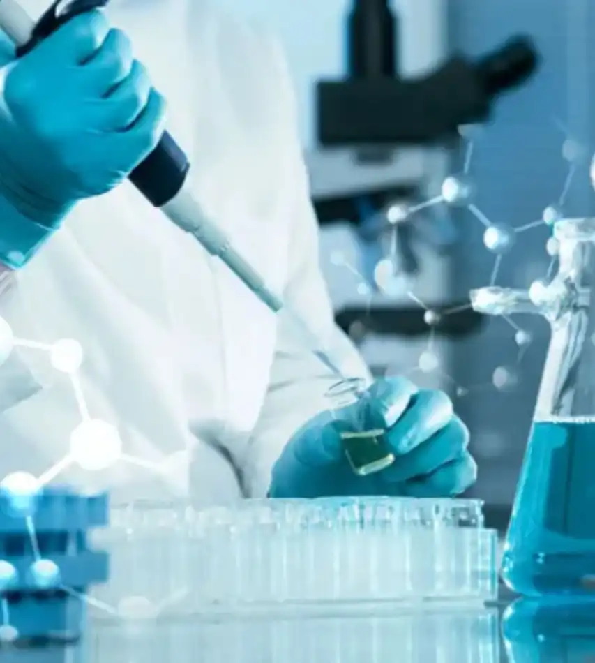 GS-441524 Powder Purchase | Shaanxi BLOOM Tech Co., Ltd