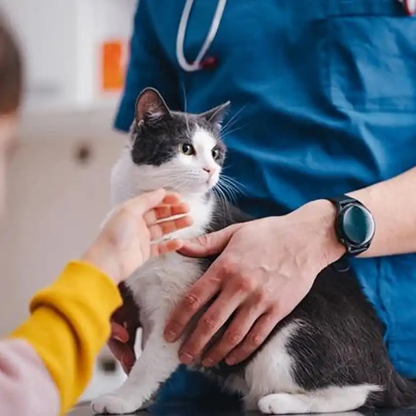 gs 441524 price  | Shaanxi BLOOM Tech Co., Ltd