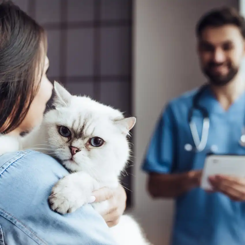 gs 441524 drug | Shaanxi BLOOM Tech Co., Ltd gs 441524 drug | Shaanxi BLOOM Tech Co., Ltd