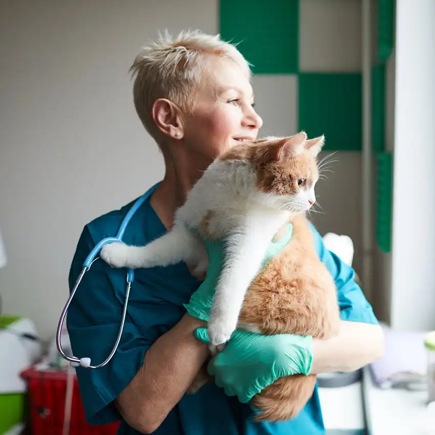 gs 441524 treatment  | Shaanxi BLOOM Tech Co., Ltd