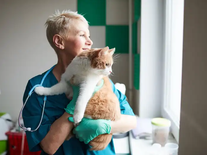 gs 441524 treatment  | Shaanxi BLOOM Tech Co., Ltd