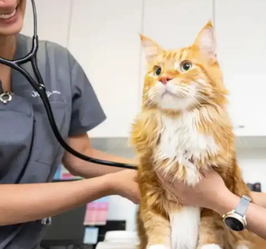 gs 441524 purchase  | Shaanxi BLOOM Tech Co., Ltd