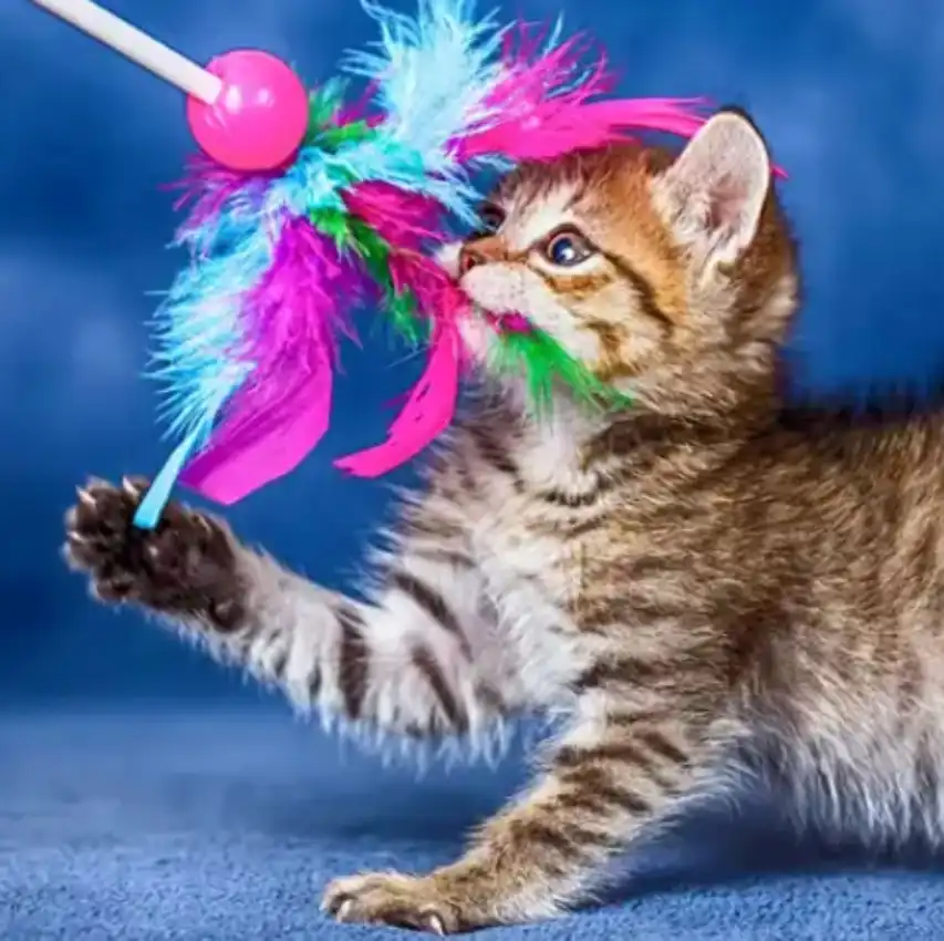 GS-441524 Injection Treatment | Shaanxi BLOOM Tech Co., Ltd