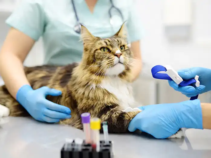 gs 441524 for fip  | Shaanxi BLOOM Tech Co., Ltd