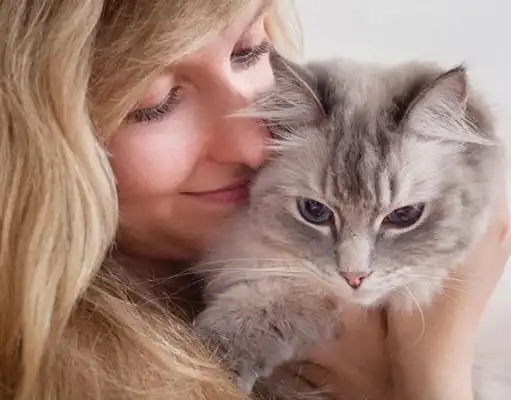 gs 441524 fip treatment  | Shaanxi BLOOM Tech Co., Ltd