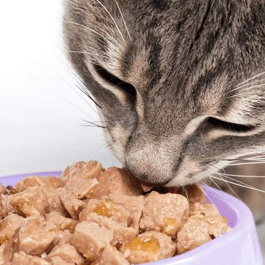 gs 441524 purchase  | Shaanxi BLOOM Tech Co., Ltd