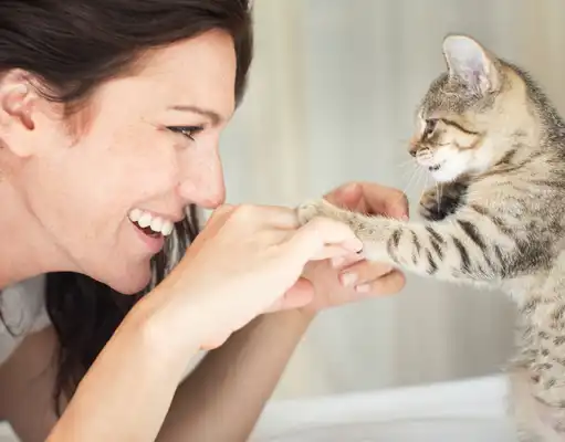 gs 441524 oral  | Shaanxi BLOOM Tech Co., Ltd