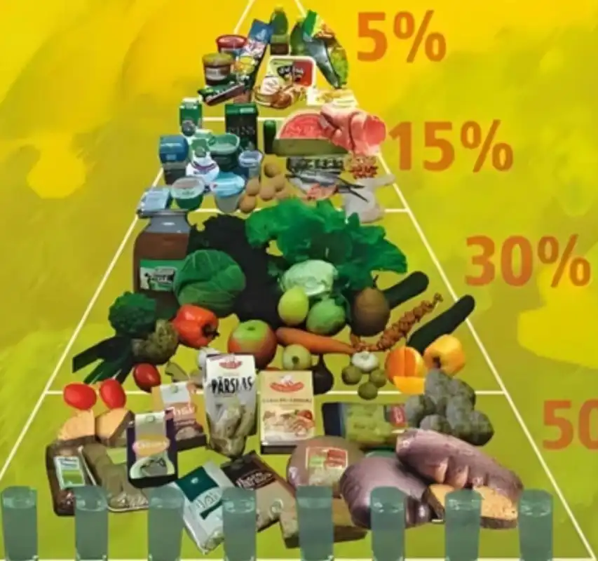 GS-441524 Tablets Application | Shaanxi BLOOM Tech Co., Ltd