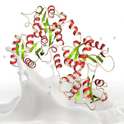 gs 44152 oral | Shaanxi BLOOM Tech Co., Ltd